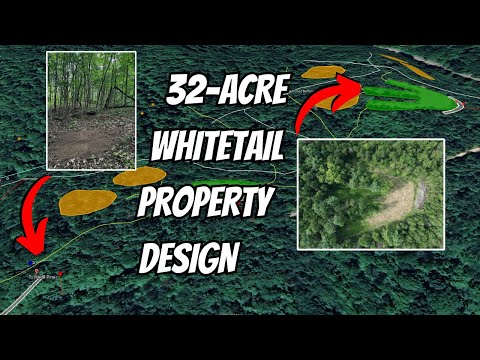 Видео: Как я спроектировал эту недвижимость для предсказуемого движения баксов