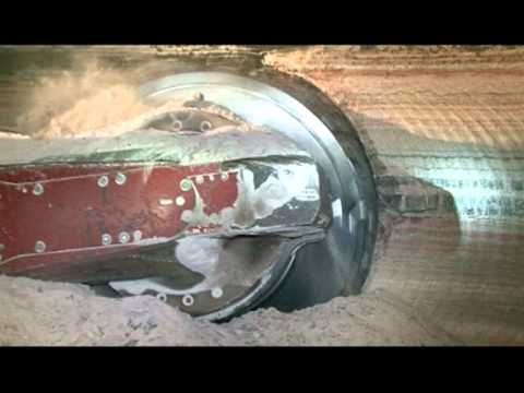 Видео: "Беларуськалий" цикла "Судьба гигантов".mpg