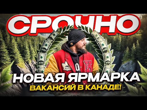 Видео: КАК НАЙТИ РАБОТУ В КАНАДЕ В 2024: ЯРМАРКА ВАКАНСИЙ ДЛЯ ИНОСТРАНЦЕВ