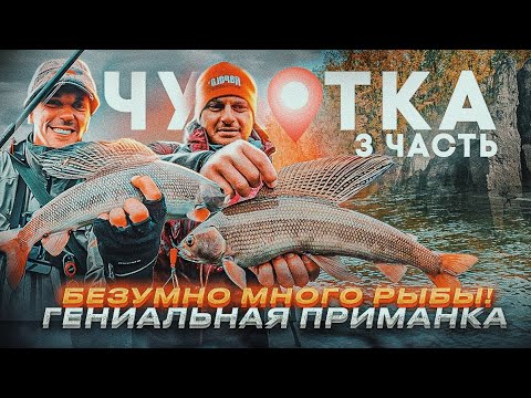 Видео: НЕВЕРОЯТНОЕ КОЛИЧЕСТВО РЫБЫ! Эта приманка просто гениальна! Андрей Питерцов, Слава Юрганов. ЧУКОТКА