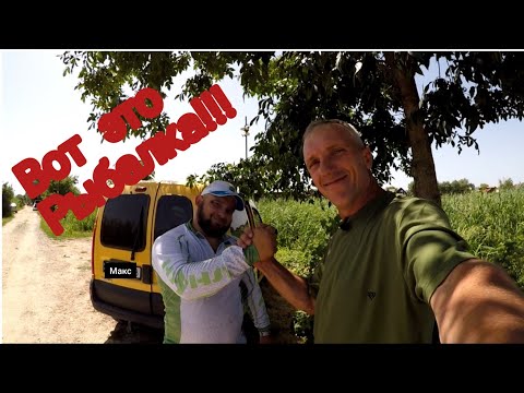 Видео: Рыбалка на Днестре ,РСК, 2024 карась и карп , клюёт как дурной #рабалка2024#отдых #рекомендации