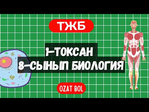 Видео: Биология 8-сынып ТЖБ 1-тоқсан