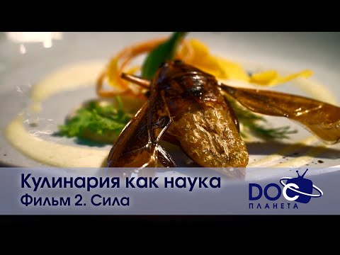 Видео: Кулинария как наука - Фильм 2. Сила - Документальный фильм