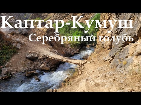 Видео: Каптар-Кумуш — самое живописное ущелье Чимгана | Поход по Узбекистану