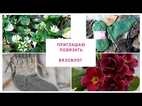 Видео: Дела вязальные 🧶новые процессы 🧶новая пряжа 🧶