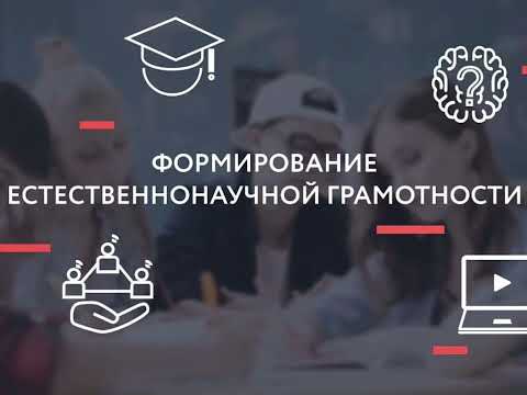 Видео: Домодедовская СОШ 12 РИП ФГ мастер класс