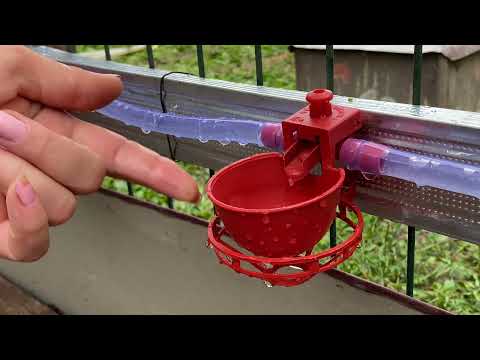 Видео: Чашечные поилки для кур и цыплят
