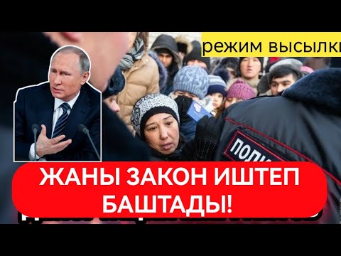 Видео: Суроо - жооп: Жаны мыйзамды мигрант сезе баштады!