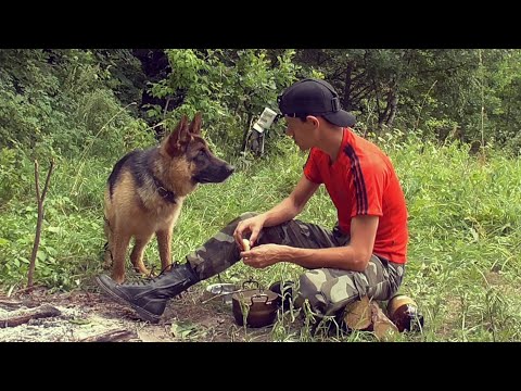 Видео: Ночь в ПАЛАТКЕ.Обед на КОСТРЕ.Пес на ЛОДКЕ.Рыбка в САДКЕ