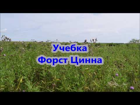 Видео: Учебка. Форст Цинна.