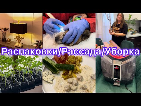 Видео: Влог. Распаковки, рецепт, рассада 🌱 Мою стулья 🚿🧼🧽 Виниловый проигрыватель 🤍🎵