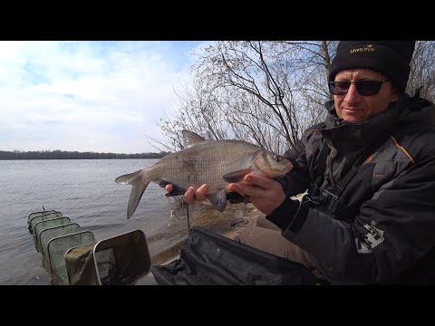 Видео: ЛЯЩ. Риболовля на Дніпрі🌊 в Квітні і гарна ПЛІТКА в прилові🐟