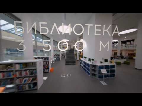 Видео: Видеогид по Вышке