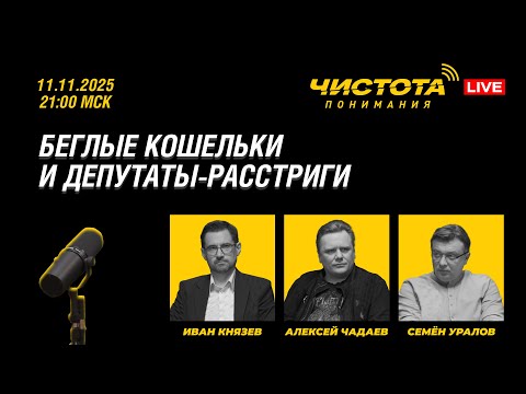 Видео: Чистота понимания LIVE // Беглые кошельки и депутаты-расстриги