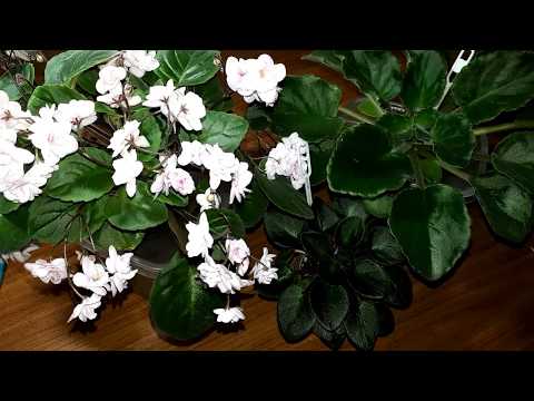 Видео: Место, главный ресурс, как его экономить?