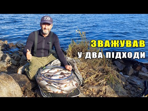 Видео: Дніпро. Стайки. Така рибалка буває раз на десять років. Новий особистий рекорд по вазі.