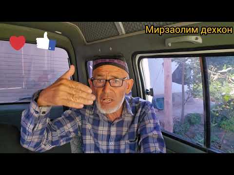 Видео: Ерталабда искуристга кадалиб тушиши