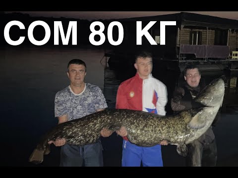 Видео: Подводная охота в Самаре. Сом 80 кг // Spearfishing on catfish 80 KG