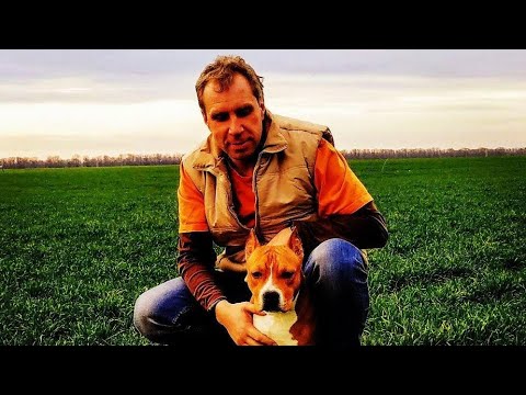 Видео: Собака-кусака 15.