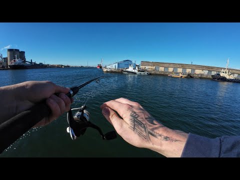 Видео: Рыбалка на реке Порт на лосося и леща