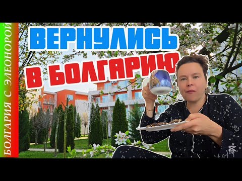 Видео: Что Происходит на Солнечном берегу? | Мы Вернулись в Болгарию.