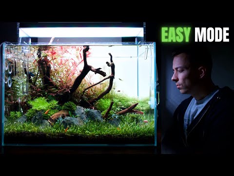Видео: МОЙ ЛЮБИМЫЙ СПОСОБ создания аквариума с растениями — пошаговое руководство по акваскейпу