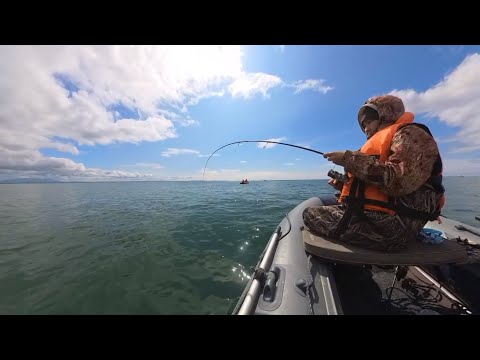 Видео: Рыбалка в бухте Лососей. Камбала.