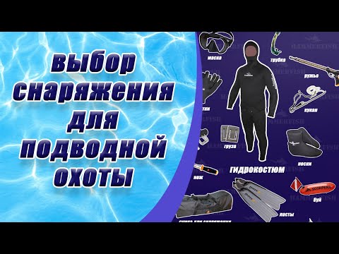 Видео: Для новичков. Снаряжение для подводной охоты