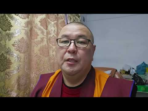 Видео: Текущие дела