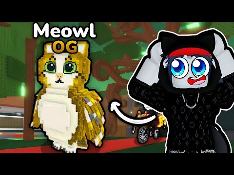 Видео: 😱ВЫБИЛ НОВОГО OG Meowl в НОВОЙ ИНДОНЕЗИЙСКОЙ ОБНОВЕ в Steal a Brainrot! ROBLOX
