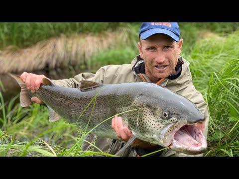 Видео: Сахалинский Таймень (Sakhalin Taimen) Часть 1