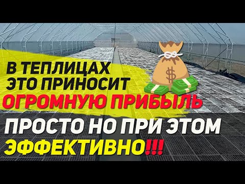 Видео: Теплица с бассейнами для гидропоники