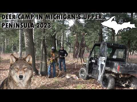 Видео: Охота на оленей на Верхнем полуострове Мичигана. Лагерь оленей 2023