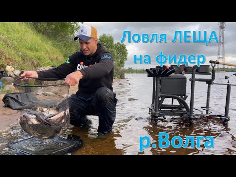 Видео: Крепкий орешек #1  Рыбалка с фидером на Волге