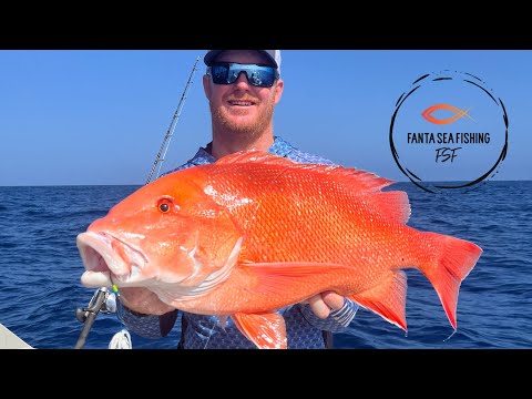 Видео: Квадратурные приливы всё ещё дают рыбу!! #рыбалка #джиггинг