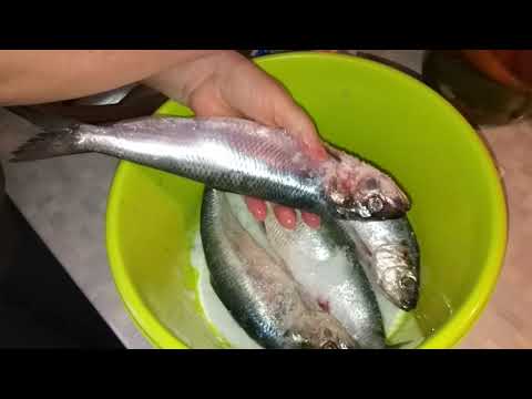 Видео: Керченская сельдь // Как вкусно посолить селедку в домашних условиях