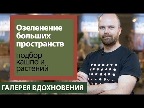 Видео: Озеленение больших пространств. Подбор кашпо и растений. Фитодизайнер Михаил Глазков