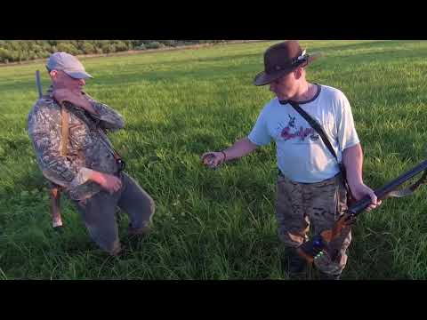 Видео: Пожалуй лучшая охота на дупеля 2020