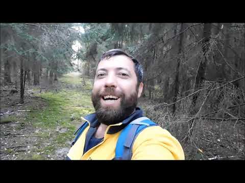 Видео: Атака грибов на человека. Прогулка в лес вечером. Сбор грибов.