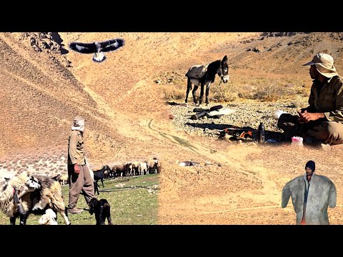 Видео: Кочевая жизнь в дикой природе | Экстремальное выживание | Секреты, которые вы должны увидеть
