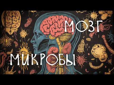 Видео: КАК БАКТЕРИИ УПРАВЛЯЮТ МОЗГОМ [Мозг и микробиом ч.2]