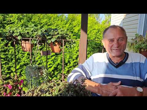 Видео: Владимирский централ, ветер северный. Заключительная часть.