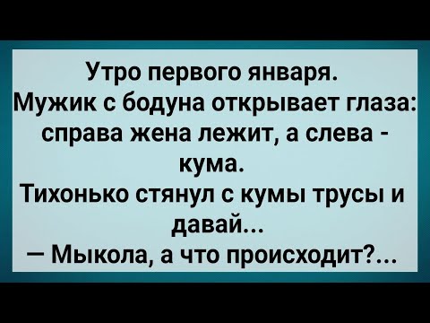 Видео: Как Мыкола На Куму Залез! Сборник Свежих Анекдотов! Юмор!