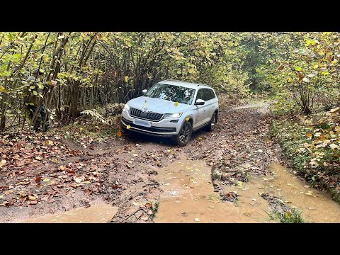 Видео: ЛЕТАЮЩИЙ RENAULT KAPTUR, TANK 500, HAVAL DARGO, SKODA KODIAQ и другие в лесу!