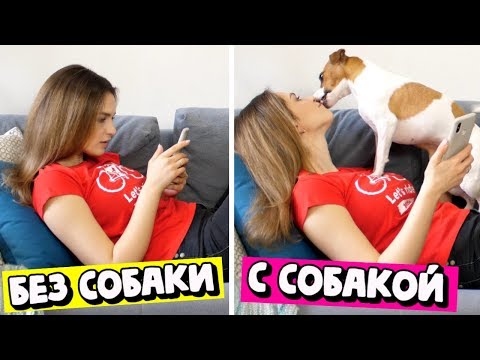 Видео: ЖИЗНЬ С СОБАКОЙ vs ЖИЗНЬ БЕЗ СОБАКИ | СКЕТЧ | Darina Sweet