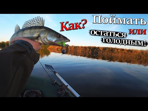 Видео: Рыбалка сплавом по реке Десна ! Трудовая Рыбалка по высокой воде. Осень2021