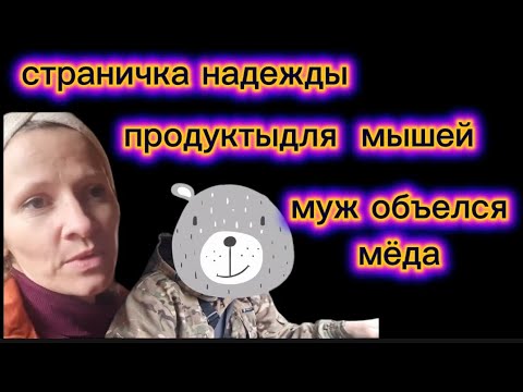 Видео: @СтраничкаНадежды кучерявая обезьяна выпустила новый цирк Шаурма удалась, а сливочное масло мышам