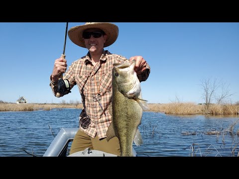 Видео: Мой набор для ловли большеротого окуня // Подготовка мушек и снастей