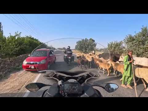 Видео: Большое путешествие. День 10 - Остаться в живых 