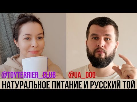 Видео: Ответы на вопросы Той терьер клуба